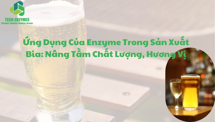 Ứng Dụng Của Enzyme Trong Sản Xuất Bia: Nâng Tầm Chất Lượng, Hương Vị