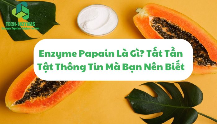 Enzyme Papain Là Gì? Tất Tần Tật Thông Tin Mà Bạn Nên Biết