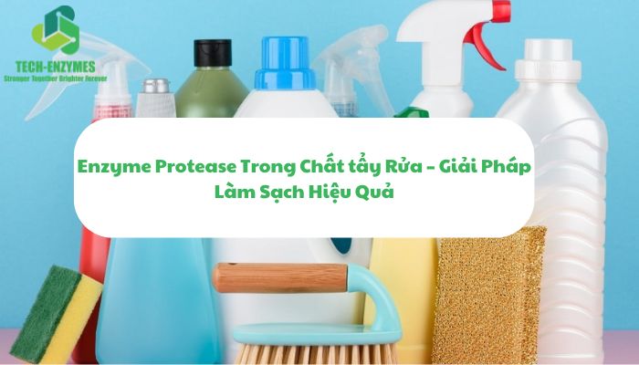 Enzyme Protease Trong Chất tẩy Rửa – Giải Pháp Làm Sạch Hiệu Quả