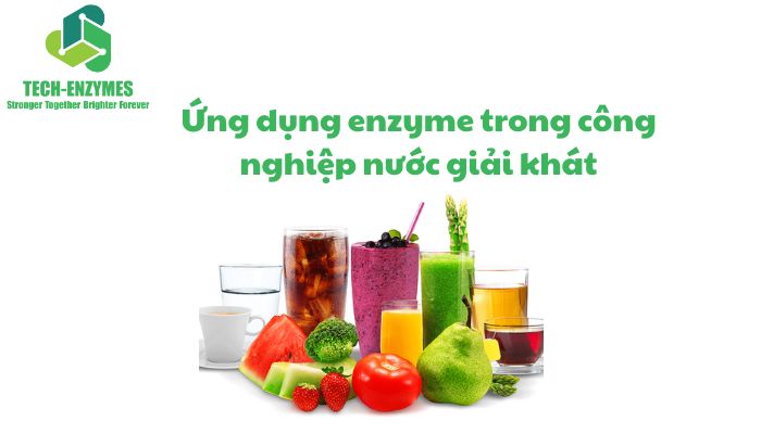 Ứng Dụng Enzyme Trong Công Nghiệp Nước Giải Khát Mà Bạn Nên Biết