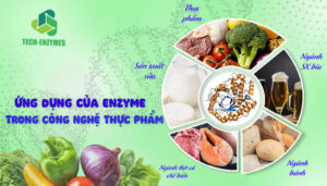 Ứng dụng của enyzme trong công nghệ thực phẩm