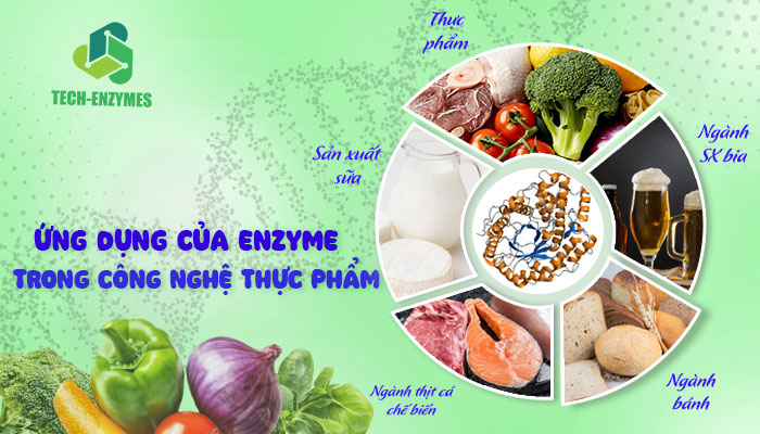 Ứng dụng của enyzme trong công nghệ thực phẩm