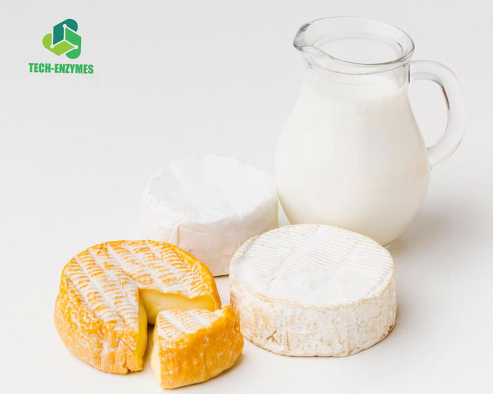 Enzyme trong sản xuất sữa