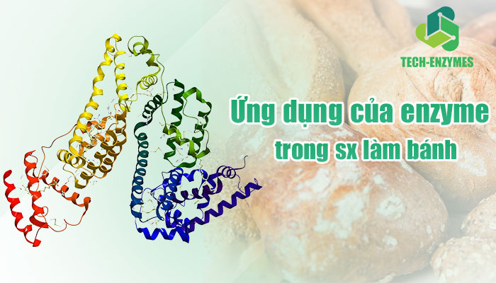 Ứng dụng của enyzme trong công nghiệp làm bánh