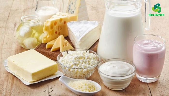 Enzyme Lactase có nguồn gốc từ đâu