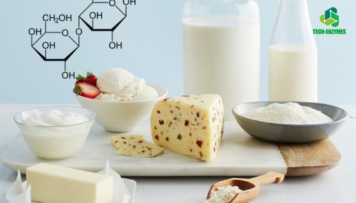 Ứng dụng của Enzyme Lactase trong thực phẩm