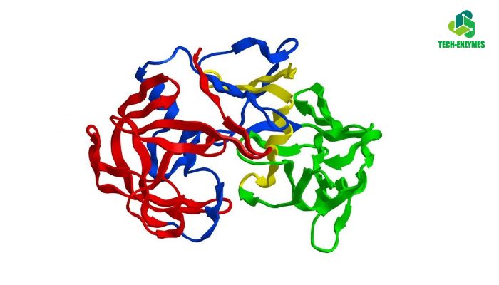 Quy trình ứng dụng enzyme trong sản xuất nước mắm